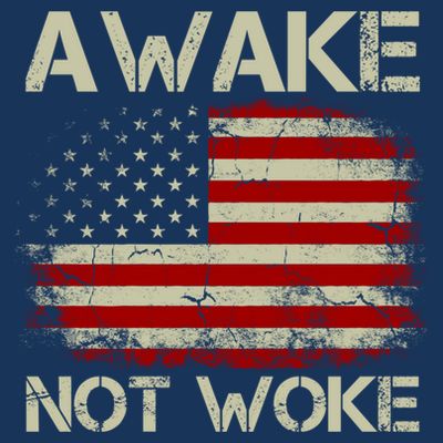 Vintage Old American Flag Awake Not Woke T-Shirt