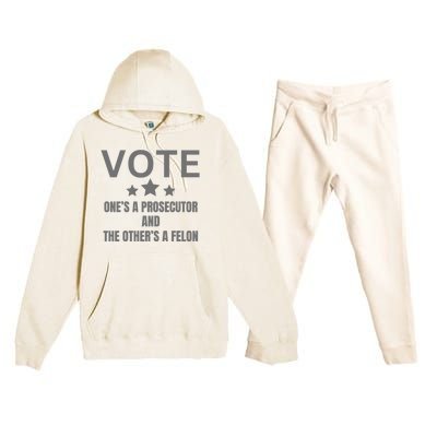 Vote Ones A Prosecutor And The Others A Felon Premium Hooded Sweatsuit Set