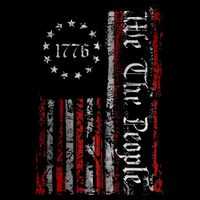 Vintage Old American Flag Patriotic 1776 We The People USA Tall T-Shirt