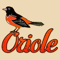 Vintage Oriole Bird Amazing Bag