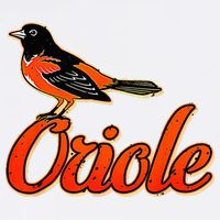 Vintage Oriole Bird Amazing Bucket Hat