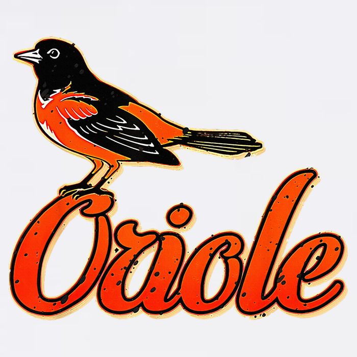 Vintage Oriole Bird Amazing Bucket Hat