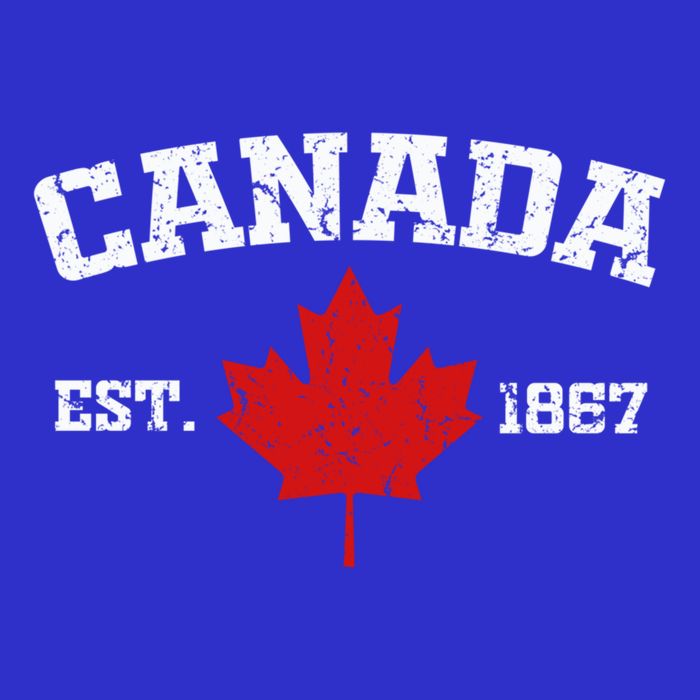 Vintage Ottawa Canada Est 1867 Souvenir Gift Cool Gift Toddler T-Shirt
