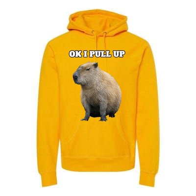 Vintage Ok I Pull Up Capybara Premium Hoodie