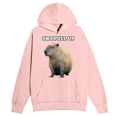 Vintage Ok I Pull Up Capybara Urban Pullover Hoodie