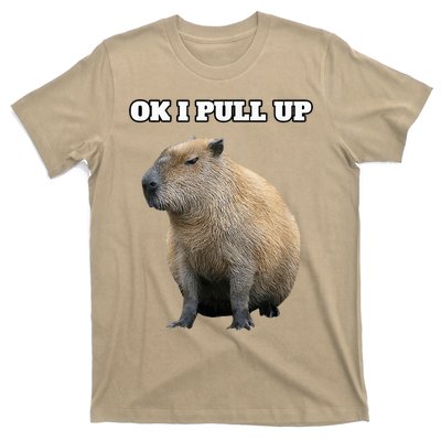 Vintage Ok I Pull Up Capybara T-Shirt