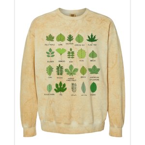 Variety of Leaf Patterns for Nature Enthusiasts Colorblast Crewneck Sweatshirt