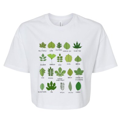 Variety of Leaf Patterns for Nature Enthusiasts Bella+Canvas Jersey Crop Tee