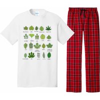 Variety of Leaf Patterns for Nature Enthusiasts Pajama Set