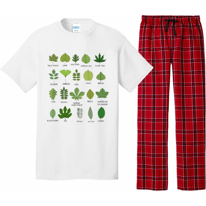 Variety of Leaf Patterns for Nature Enthusiasts Pajama Set