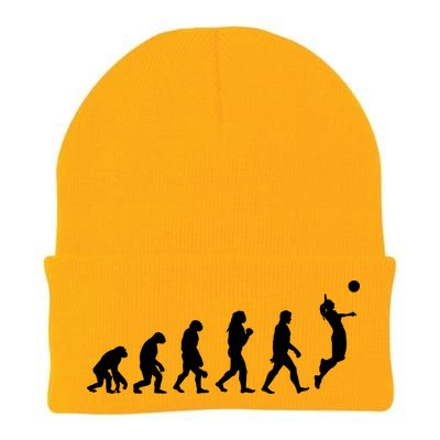 Volleyball Evolution Knit Cap Winter Beanie