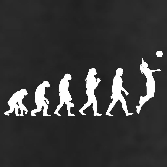 Volleyball Evolution Beanie