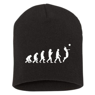 Volleyball Evolution Short Acrylic Beanie