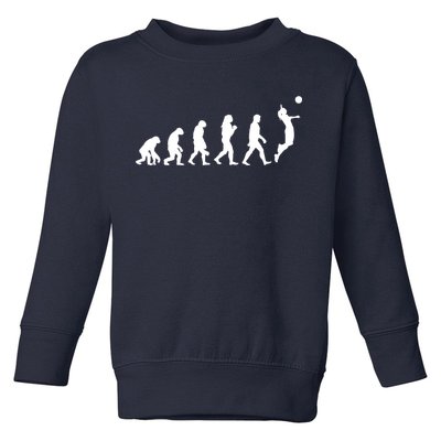 Volleyball Evolution Toddler Sweatshirt