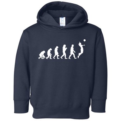 Volleyball Evolution Toddler Hoodie