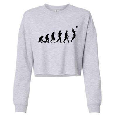 Volleyball Evolution Cropped Pullover Crew