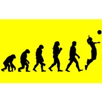 Volleyball Evolution Bumper Sticker