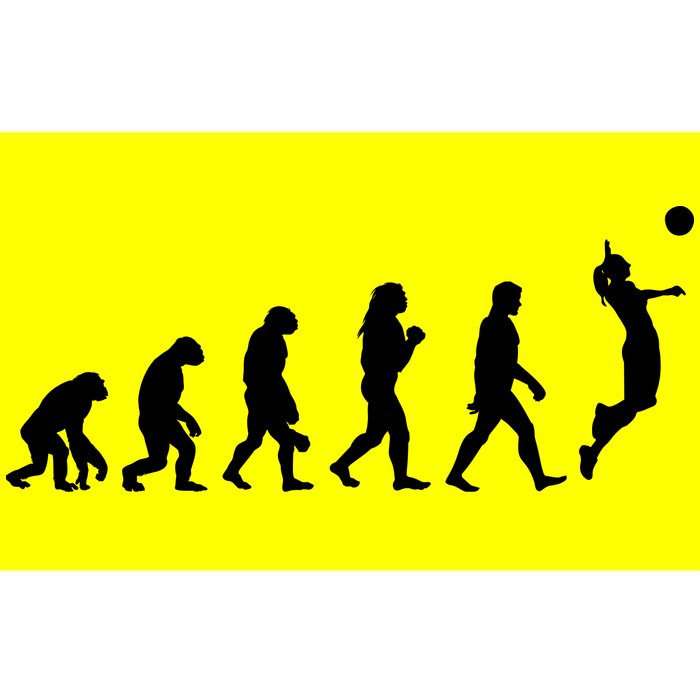 Volleyball Evolution Bumper Sticker