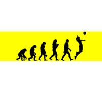 Volleyball Evolution Bumper Sticker