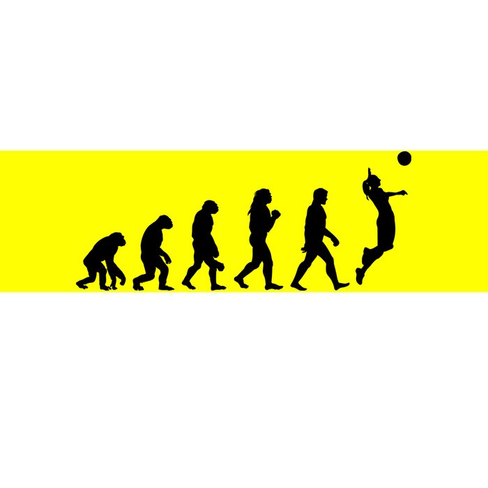 Volleyball Evolution Bumper Sticker