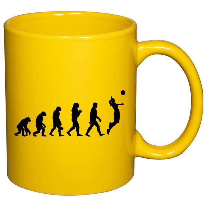 Volleyball Evolution 11oz C Handle Ceramic Mug