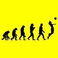 Volleyball Evolution 11oz C Handle Ceramic Mug