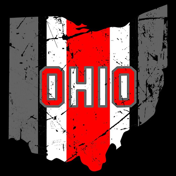 Vintage OHIO Ohio State Map Button