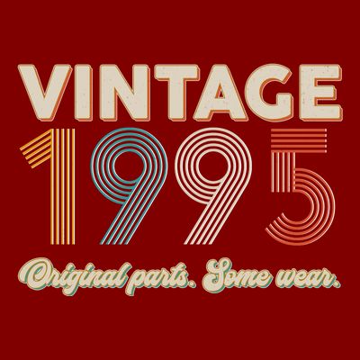 Vintage Original Parts Some Wear 1995 30th Birthday T-Shirt