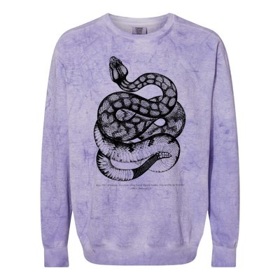 Vintage Ophiology South American Rattle Snake Tee Colorblast Crewneck Sweatshirt