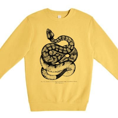 Vintage Ophiology South American Rattle Snake Tee Premium Crewneck Sweatshirt