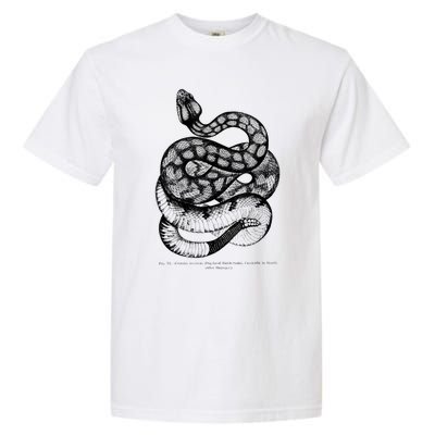 Vintage Ophiology South American Rattle Snake Tee Garment-Dyed Heavyweight T-Shirt