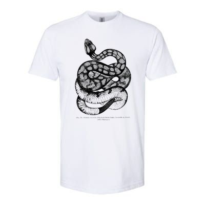 Vintage Ophiology South American Rattle Snake Tee Softstyle CVC T-Shirt