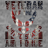 Veteran Of The United States Air Force Toddler T-Shirt