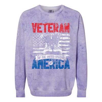 Veteran Of The United States Of America Veterans Day Gift Colorblast Crewneck Sweatshirt