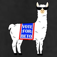 Vote For Beto Llama Adult Drive Performance Visor