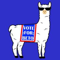 Vote For Beto Llama Tall T-Shirt