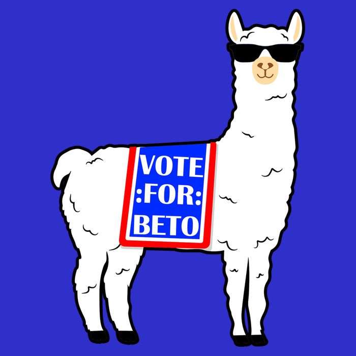 Vote For Beto Llama Tall T-Shirt