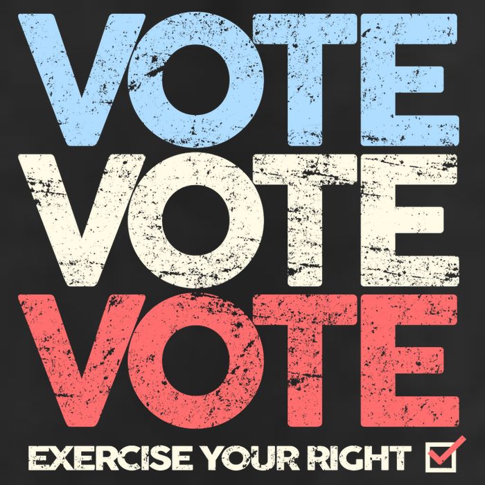 Vote Vote Vote Exercise Your right 7 Panel Mesh Trucker Snapback Hat