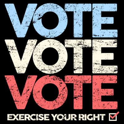 Vote Vote Vote Exercise Your right T-Shirt
