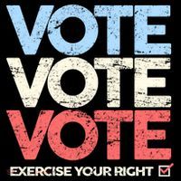 Vote Vote Vote Exercise Your right Button