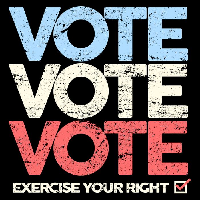 Vote Vote Vote Exercise Your right Mug