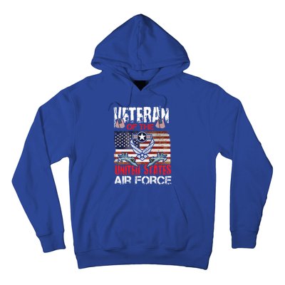 Veteran Of United States Air Force Fighter Jet Veterans Day Gift Hoodie