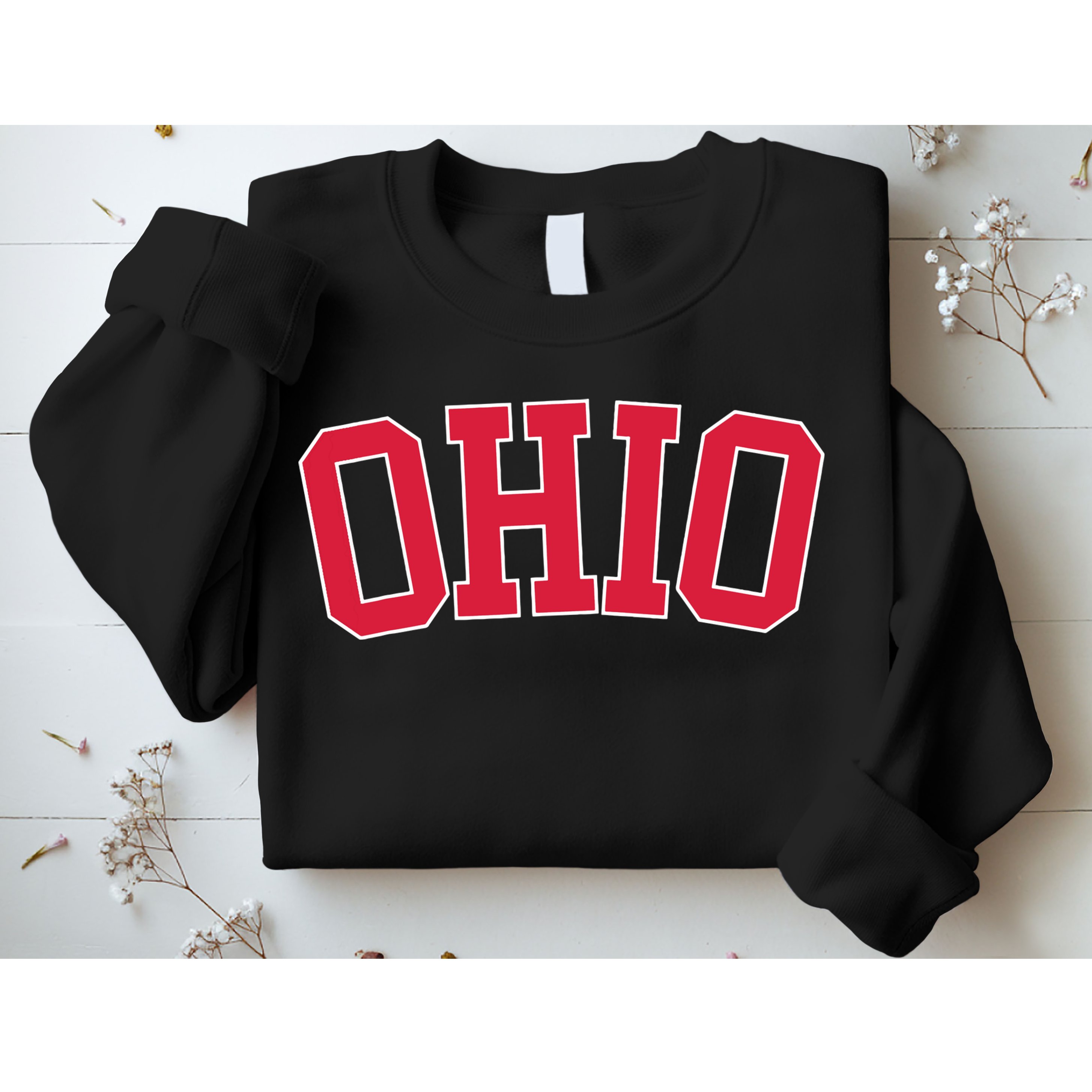 Vintage Ohio Usa State Oh Varsity Style Sports Sweatshirt
