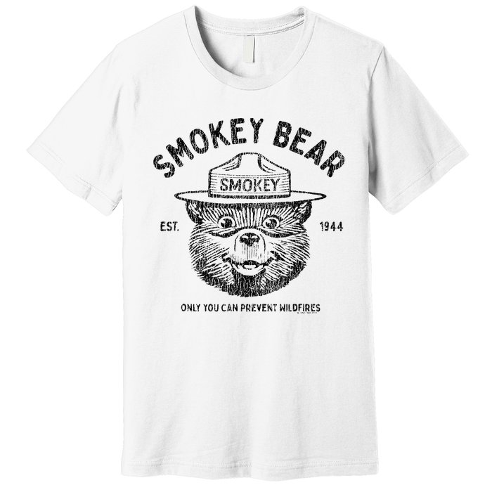 Vintage Only You Can Prevent Wildfires Premium T-Shirt