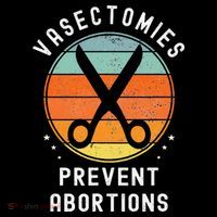 Vasectomies Prevent Abortions Retro Pro Choice Funny Novelty Stripe Pom Pom Beanie
