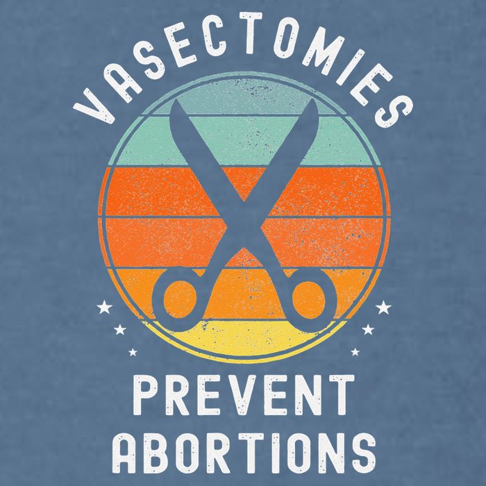 Vasectomies Prevent Abortions Retro Pro Choice Funny Novelty Garment-Dyed Sweatshirt