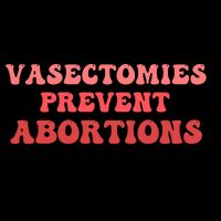 Vasectomies Prevent Abortions Pom Pom 12in Knit Beanie