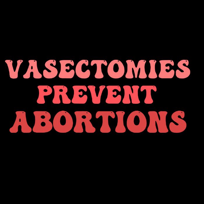 Vasectomies Prevent Abortions Pom Pom 12in Knit Beanie