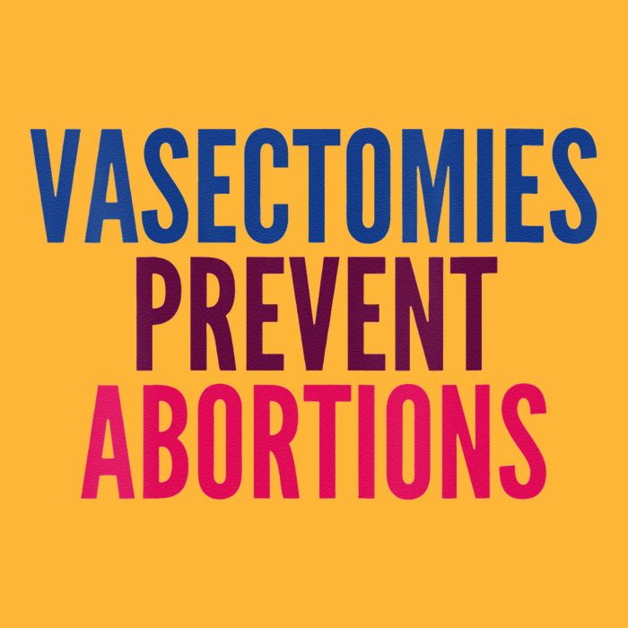 Vasectomies Prevent Abortions Protest Pom Pom 12in Knit Beanie