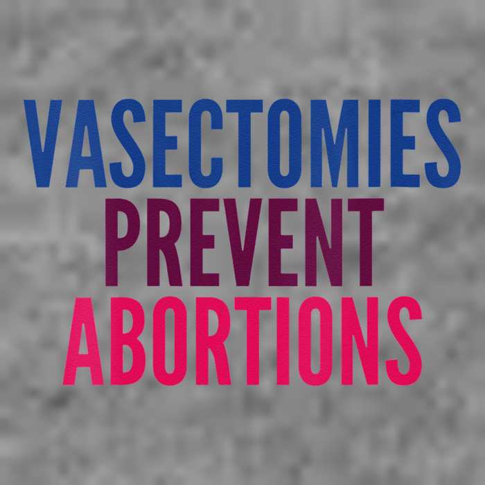 Vasectomies Prevent Abortions Protest Hooded Wearable Blanket